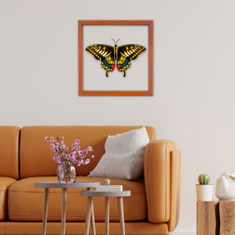 Wallity Cuadro Decorativo Enmarcado Multicolor 32 x 32 cm